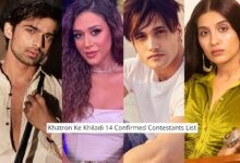 Khatron Ke Khiladi 14: All 11 confirmed contestants with photos