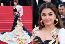 Aishwarya's Falguni & Shane Peacock-designed Cannes outfit doesn't impress netizens