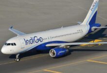 Dubai-bound Indigo aircraft suffers bird hit on runway, take-off cancelled
