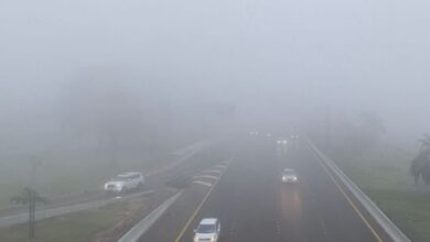 UAE weather: NCM warns of fog formation, poor visibility