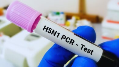 Australia reports first human case of H5N1 bird flu