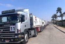 12-truck UAE aid convoy enters Gaza Strip