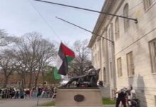 Watch: Protestors replace US flag with Palestinian at Harvard University