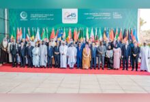 15th OIC summit kicks off in Gambia: War on Gaza top agenda