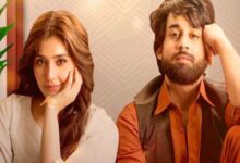 Viewers from India, Pakistani slam Ishq Murshid makers, know why