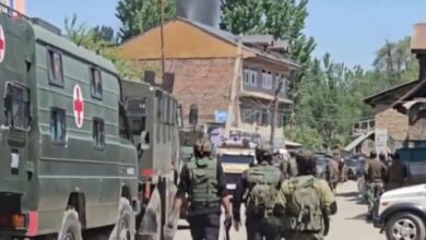 Kashmir: Two terrorists killed in gunfight with security forces in Kulgam