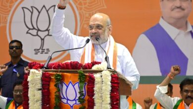 Rahul Gandhi will lose by a big margin in Raebareli, says Amit Shah