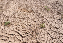 Over 1.51 million people affected due to drought in China