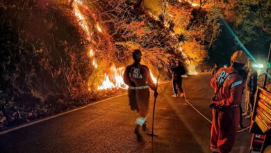 Forest department personnel try to control a fire