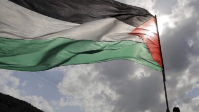 Ireland will recognise Palestinian state this month: Deputy PM