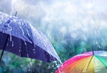 Telangana receives calming showers after prolonged heat