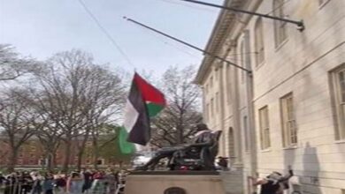 Watch: Protestors replace US flag with Palestinian at Harvard University