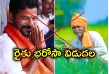 The ECI has ordered the State government to defer the disbursal of Rythu Bharosa, the crop financial input subsidy scheme till after the general elections are held in Telangana on May 13.