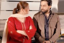 Ishq Murshid: Bilal Abbas Khan's total earnings for 31 episodes