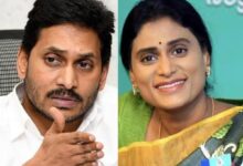 AP: YSRCP downplays Y S Sharmila's move to join Congress