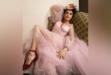 Preity Zinta starts shooting for 'Lahore 1947'