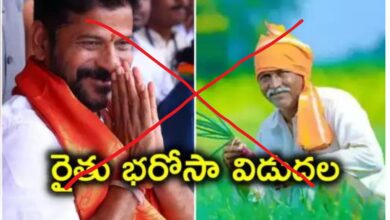 The ECI has ordered the State government to defer the disbursal of Rythu Bharosa, the crop financial input subsidy scheme till after the general elections are held in Telangana on May 13.