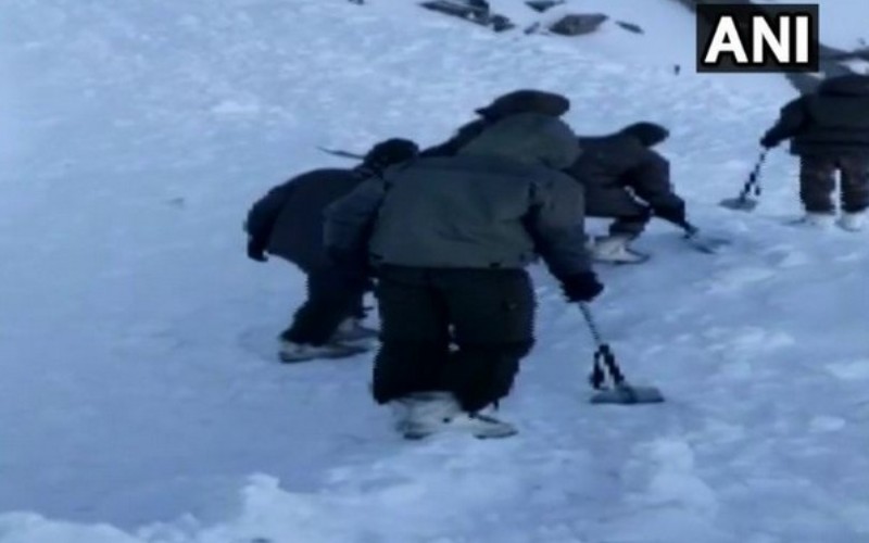 Ladakh avalanche: Two more bodies recovered, toll touches 7