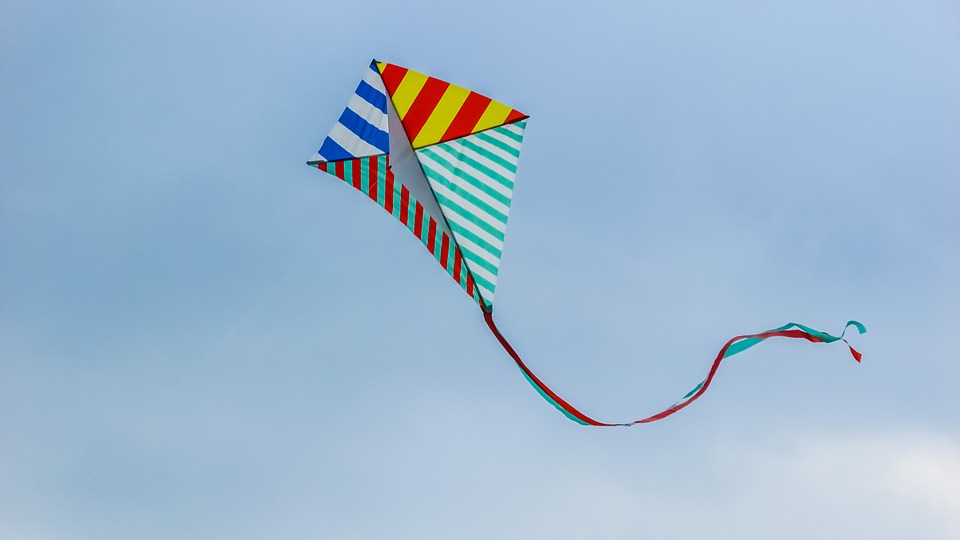 ACP dog attacks kite flyer, youth dies