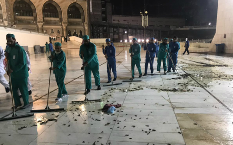 Thousands of black crickets swarm Makkah’s grand mosque
