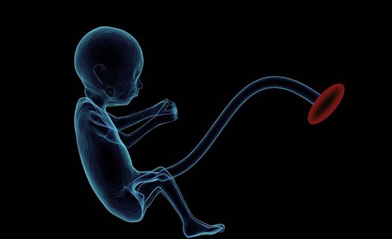 IIT Madras researchers develop India-specific AI model for foetus age