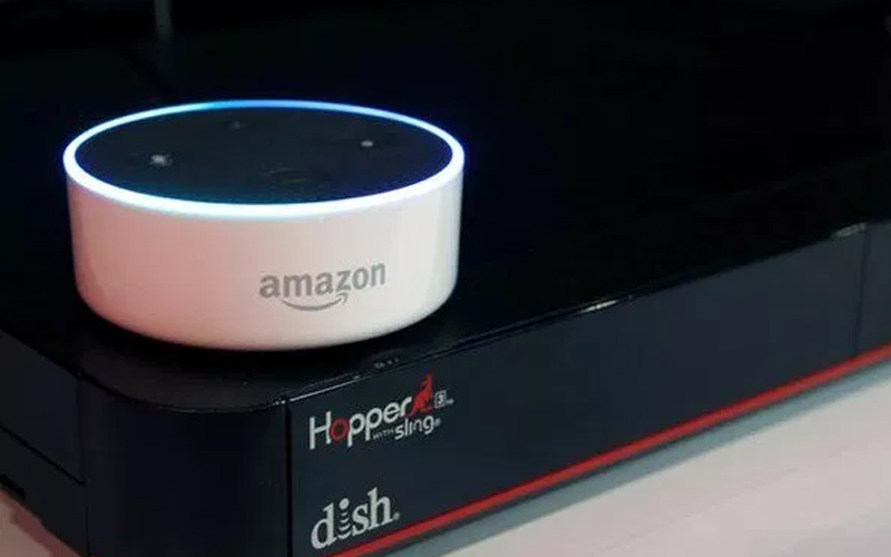 Indian consumers say big hello to voice-based devices