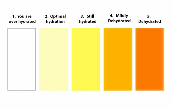 Urine Color Hydration Chart