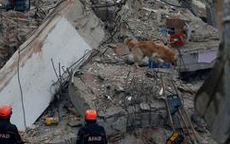 8 dead in Nigeria building collapse