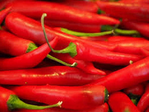 Sharp decrease in chili prices makes Telangana farmers restless