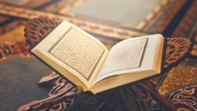Qur'an translation
