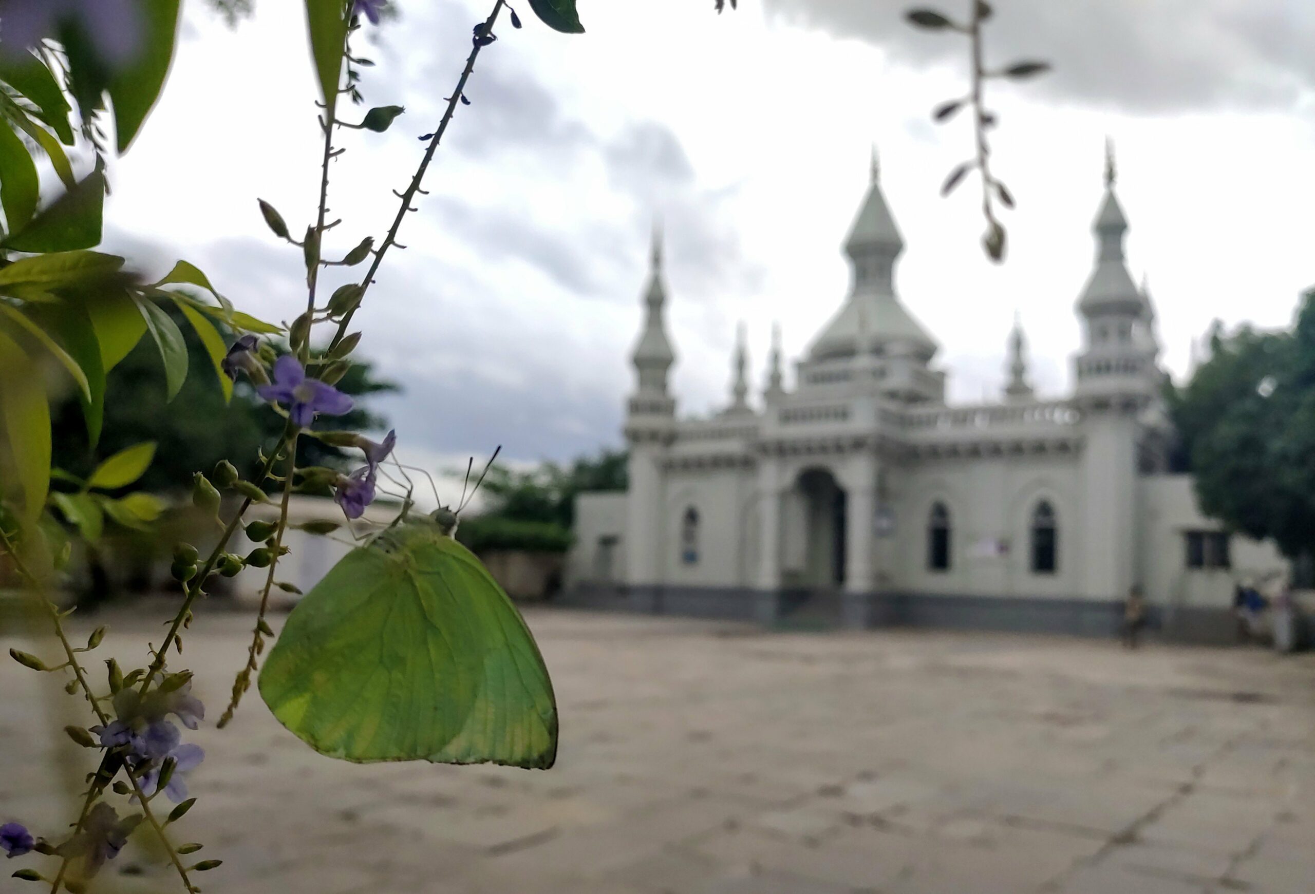 Hyderabad: God of small happiness at Spanish Mosque