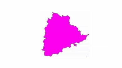 Hyderabad: Revenue employees' leaders to meet CM KCR