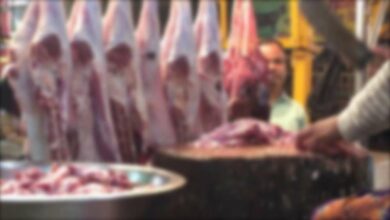 Cattle slaughterhouses and beef shops to remain closed on August 11