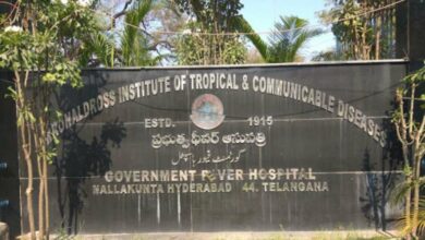 Mosquito-borne diseases on the rise
