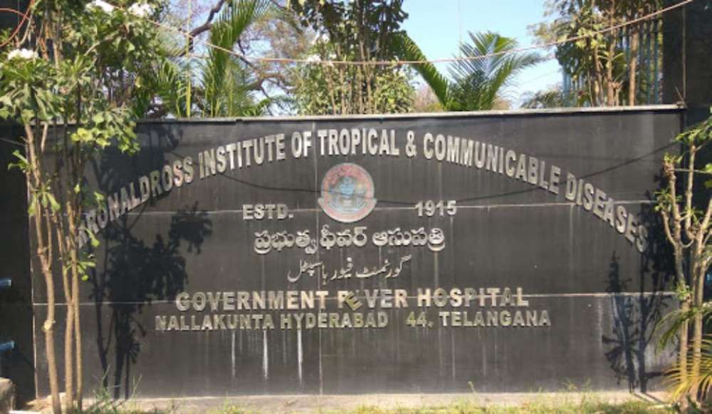 Mosquito-borne diseases on the rise