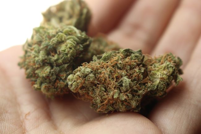 Three held with 78 kg of marijuana