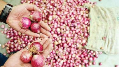 Onions