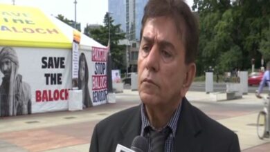 Pak's outcry over Kashmir is hypocrisy, says Baloch activist