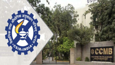 Hyderabad: Fear seems to have set into the minds of several citizens in Hyderabad a day after a joint report by two premier scientific institutions concluded that about 6.6 lakh people have been infected by the novel coronavirus (COVID-19). If true, it belies the state government’s official data of one lakh cases that have been reported in Telangana so far, and also means that the government has been grossly underreporting cases. Moreover, doctors in the city who are currently treating COVID-19 patients have also raised doubts about the results, while the scientific institutions stand by their findings. The study was conducted by the Centre for Cellular and Molecular Biology (CCMB) and the Indian Institute of Chemical Technology (IICT), which are based in Hyderabad. A CCMB press release on August 19 stated, “Of the 1800 million litres water used daily in Hyderabad, 40 per cent is processed at different sewage treatment plants (STPs). In a collaborative effort, CSIR-CCMB and CSIR-IICT harvested the sewage samples to estimate the number of potentially infected individuals in the city.” Covering 80 per cent of the STPs in the city, it disclosed that about two lakh people are shedding viral materials. With only 40 percent of the Hyderabad’s sewage reaches STPs, the joint study extrapolated that the total amount of potentially infected people, which turned out to be approximately 6.6 lakh (6.6. per cent of the city’s population)—including symptomatic, asymptomatic and recently recovered people. However, doctors from the state-run Osmania General Hospital and Gandhi Hospital said that the numbers given by the CCMB-IICT report may not be completely accurate. “A lot of people will have some mild symptoms like cold or fever but a virus is an antigen which spreads and causes an infection after entering the body. Only an antigen test will show you a proper infection. Why are we testing for antigens of COVID now?” said a senior doctor from OGH who did not want to be quoted. Another doctor from Gandhi Hospital, a nodal treatment center for COVID, said that people also have antibodies inside themselves, which are produced as a counter-measure when a virus or bacteria enters the body, then it poses no problem. It means they possess immunity,” said a doctor from OGH. In Telangana, as of 20 August, a total of 97,424 COVID-19 cases have been reported, of which 1,724 were reported on Thursday. Out of the total numbers, 75,186 people have recovered, while 729 have died after succumbing to the virus. The state’s total is clearly way below what the CCMB-IICT study has suggested. It will be interesting to see if the central government takes any action based on it. When contacted CCMB director Rakesh Mishra said that they did not test for antibodies in their study, but tested fecal samples from Hyderabad’s sewage system. “So what we are testing are people who have been shedding the virus. Many people will start testing negative after 12 to 14 days, which means at least two thirds or more of these samples which we detected in a sewage stem are actually cured people or recovered people. Therefore, they are negative now and only one third of these are active cases,” he added. The joint study found out that about 6.6 lakh people are currently shedding the virus in Hyderabad. This means there are about 2.5 lakh people are active.”If these go out and sneeze, they can infect others. The remaining people are now shedding the virus in their fecal samples,” Mishra added