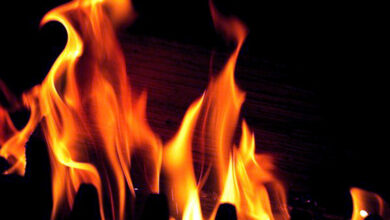 Young veterinarian murdered, set ablaze near Hyderabad