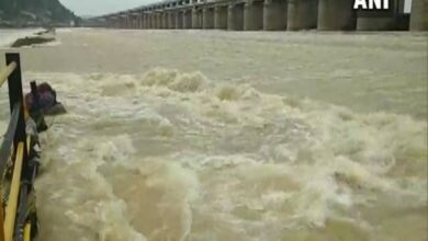 AP: First level warning continues in Godavari basin