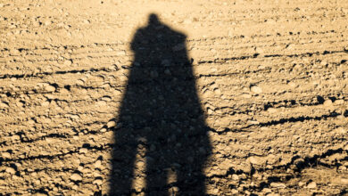 Honey trap scandal: College girls forced to bed VIPs