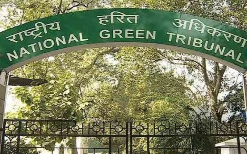 Plea in NGT challenging Delhi govt's odd-even scheme