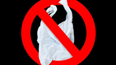Dubai municipality proposes ban on reusable plastic, paper bags