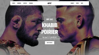 Khabib vs Poirier UFC242