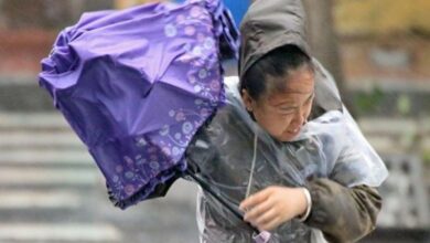 Typhoon hits South Korea, kills three