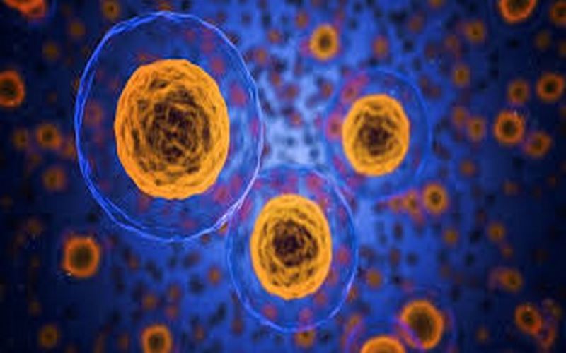 Nano-sized cells of body may help in fighting cancer: Study