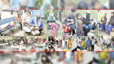 'Among dengue patients morbidity increased more than mortality'
