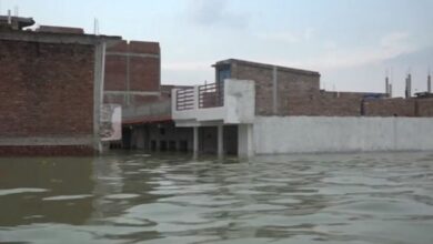 Prayagraj: Several houses partially submerged in floodwater