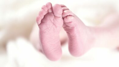 Body of newborn found abandoned in Banjara Hills, Hyderabad